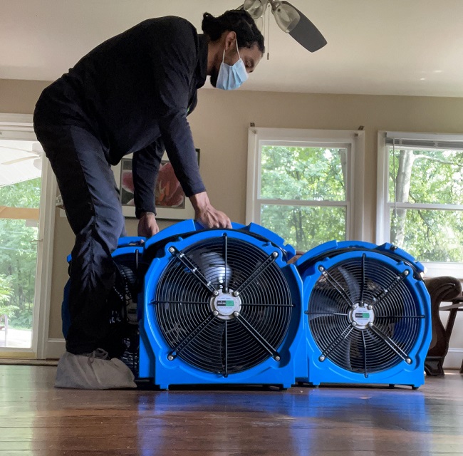 Bed Bug Treatment Greensboro, NC. Bed Bug Exterminator Greensboro, NC. Eco Bed Bug Greensboro 806 Green Valley Rd Suite 200, Greensboro, NC 27408.