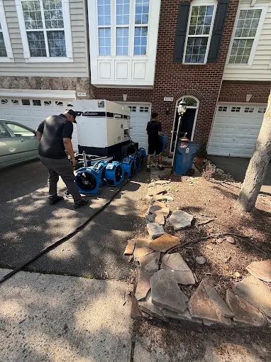Greensboro Bed Bug Exterminator. Eco Bed Bug Greensboro Bed Bug Treatments. 980-228-9317.