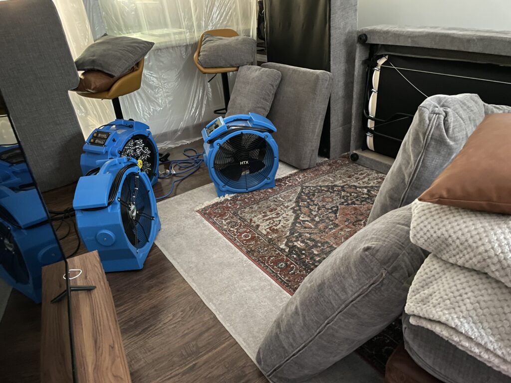 Bed Bug Heat Treatment Greensboro, NC. Eco Bed Bug Greensboro. Bed Bug Exterminator Greensboro, NC. 